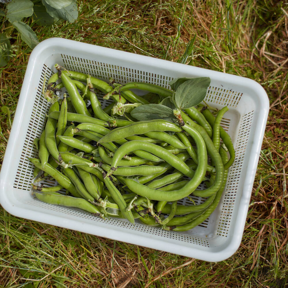 【魅力のイタリアン】自ら育てた野菜を食べさせる　農園レストラン｜たったひとつを叶える旅＜９２＞