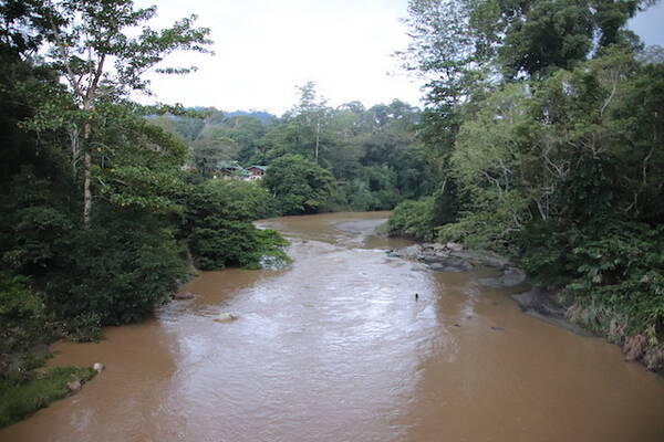 オラウータンなど野生動物の宝庫 ボルネオ島の 熱帯雨林ツアー を現地ルポ マレーシア 年2月22日 エキサイトニュース