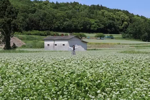 「大分県のそば処で、この時期だけ特別な「寒晒し(かんざらし)そば」が味わえる！」の画像