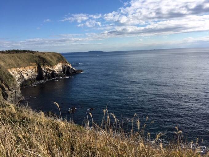 都内から日帰りで楽しめる！「みさきまぐろきっぷ」で三浦半島を小旅行してきた【神奈川県】