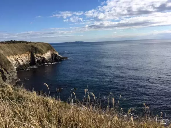 「都内から日帰りで楽しめる！「みさきまぐろきっぷ」で三浦半島を小旅行してきた【神奈川県】」の画像