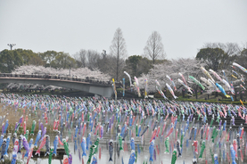 【2020年4月・開催日順】日本の祭りはこんなにも美しい。日本全国 4月の祭りカレンダー