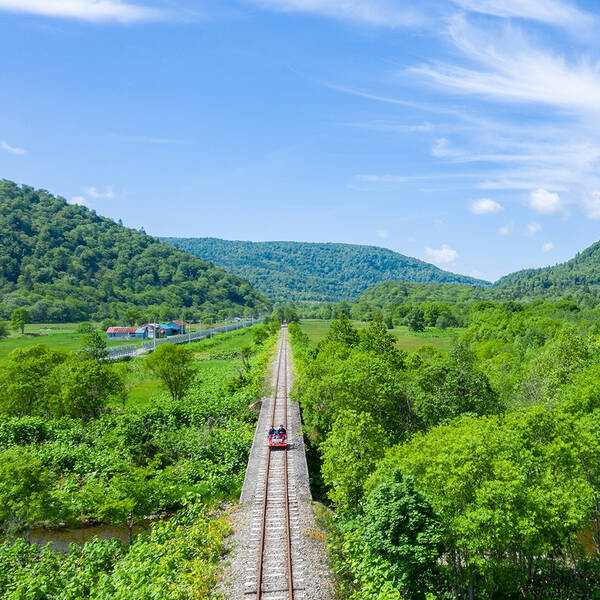 日本の森が呼んでいる 第2回 北海道 福島県 たったひとつを叶える旅 ９９ 年4月8日 エキサイトニュース
