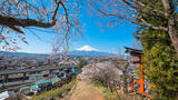 「【お花見特集2020】富士山をバックに五重塔と桜が織りなす絶景「新倉山浅間公園」」の画像1