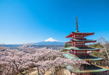 「【お花見特集2020】富士山をバックに五重塔と桜が織りなす絶景「新倉山浅間公園」」の画像4