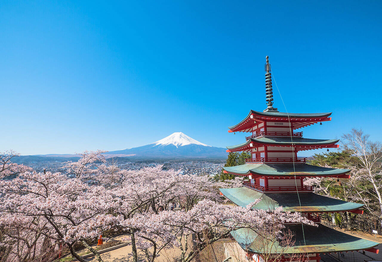 【お花見特集2020】富士山をバックに五重塔と桜が織りなす絶景「新倉山浅間公園」