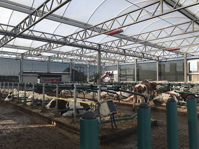 自然エネルギーで稼働！海に浮かぶ酪農場「Floating Farm」を現地ルポ【オランダ】