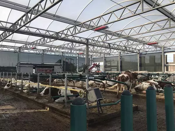 「自然エネルギーで稼働！海に浮かぶ酪農場「Floating Farm」を現地ルポ【オランダ】」の画像