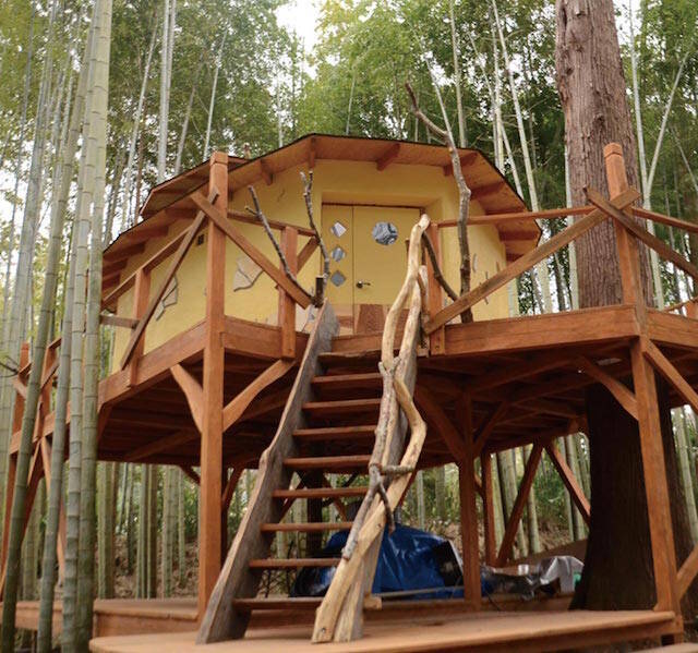 ここでしかできない体験を！「動物園」×「グランピング」THE BAMBOO FORESTがオープン