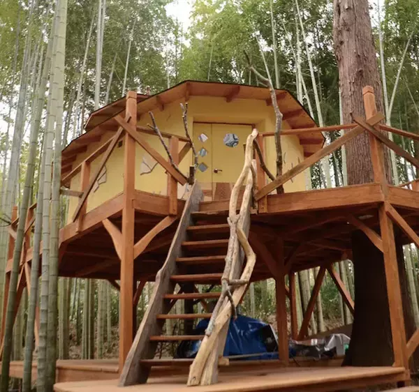 「ここでしかできない体験を！「動物園」×「グランピング」THE BAMBOO FORESTがオープン」の画像