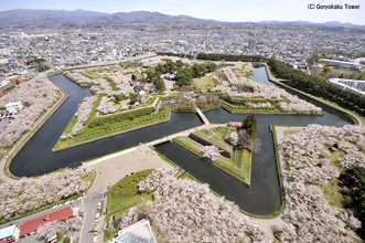 【お花見特集2020】お堀の内外に咲き乱れる桜の絶景「五稜郭公園」