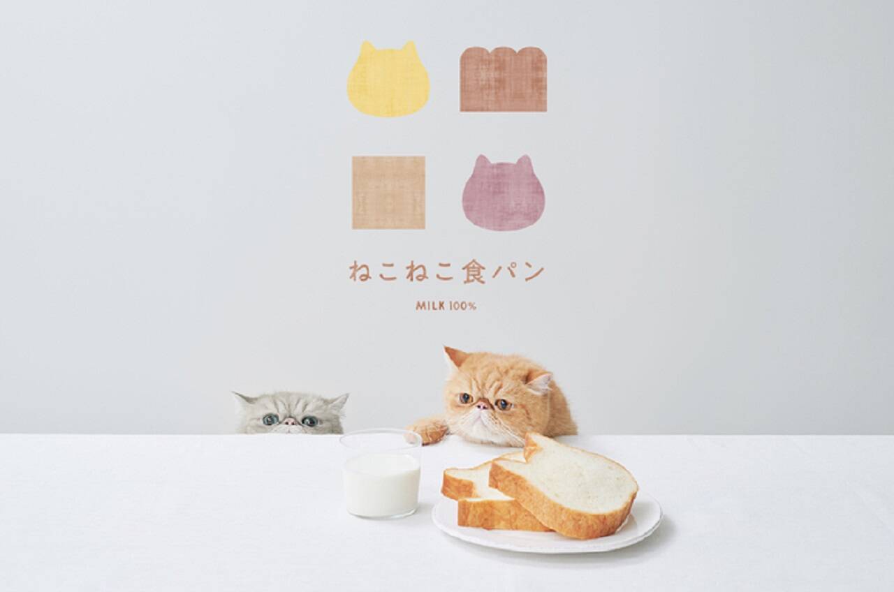 ねこの形の高級食パン専門店「ねこねこ食パン」が期間限定で福岡に登場