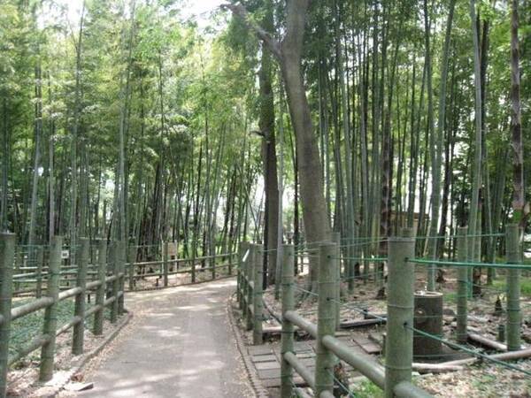 都内 お花見散歩の穴場ルートも 桜や新緑を楽しむ目黒の散歩道5選 15年3月22日 エキサイトニュース 都内 お花見散歩の穴場ルートも 桜や新緑を楽しむ目黒の散歩道5選 15年3月22日 エキサイトニュース