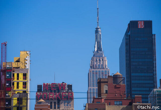 【新型コロナウイルス続報：４月１８日更新】NYおこもり生活５週間、ニューヨーカーは自宅で何してる？