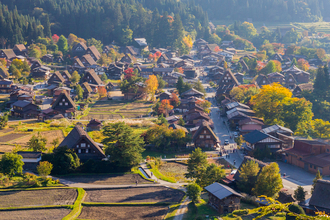 彦根城に佐渡の金山！美しい日本の未来の「世界遺産」たち