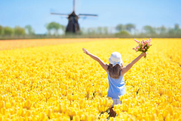 いつか見に行きたい世界の春絶景 オランダの風車とチューリップの定番風景はどこで見られる 年5月5日 エキサイトニュース