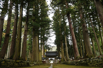 【２０２０年開運】富山県のパワースポット３選！森林浴、霊水、浄土往生　