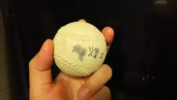 「いながきの駄菓子屋探訪（１）秋田県能代市「ふるくじ」」の画像