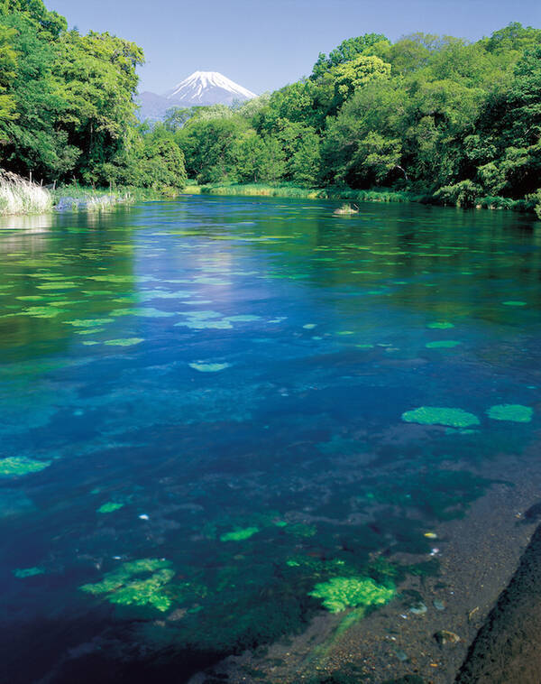 ２０２０年開運 静岡県のパワースポット３選 日本の最高峰 ブルーホール 金運上昇 年9月17日 エキサイトニュース