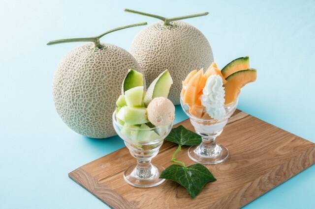 旬の国産メロンが楽しめる！フルーツパラダイスの「メロン食べ放題」