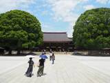 「１本の木に会いに行く（１６）大都会のパワースポット・明治神宮の夫婦楠＜東京＞」の画像1