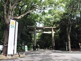 「１本の木に会いに行く（１６）大都会のパワースポット・明治神宮の夫婦楠＜東京＞」の画像8
