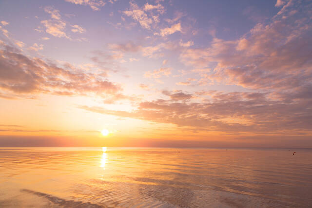 知らないと損をする英会話術（３３）：一瞬でネイティブになれる“Present”の使い方