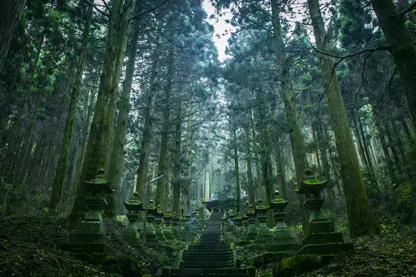 「【２０２０年開運】熊本県のパワースポット３選！合格・必勝、病気平癒、龍神パワー」の画像