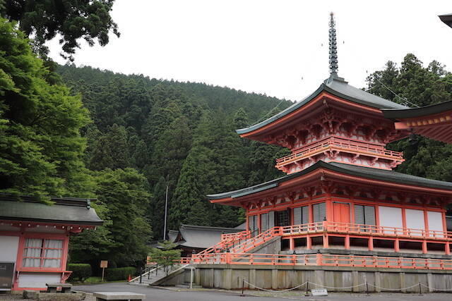 比叡山延暦寺で参拝と登山 開運の鐘 不滅の法灯 琵琶湖の絶景 現地ルポ 年8月4日 エキサイトニュース