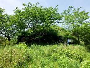 日本列島ゆるゆる古墳ハント（３）福岡県北九州市の「雨窪古墳」と資さんうどん