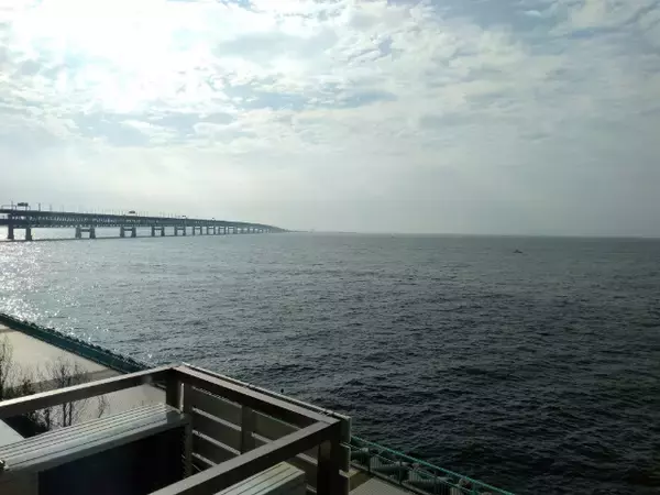 「客室に変なロボットが！？絶景温泉付きオーシャンビューホテルに泊まってみた【変なホテル関西空港】」の画像