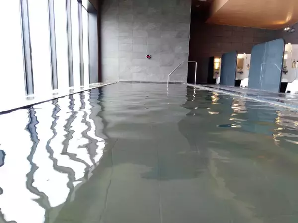 「客室に変なロボットが！？絶景温泉付きオーシャンビューホテルに泊まってみた【変なホテル関西空港】」の画像