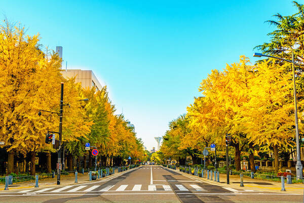 関東近郊の紅葉 横浜 鎌倉 箱根でも 自然に囲まれた神奈川県の紅葉スポット６選 年10月6日 エキサイトニュース