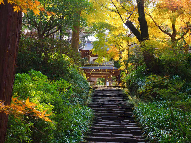 関東近郊の紅葉 横浜 鎌倉 箱根でも 自然に囲まれた神奈川県の紅葉スポット６選 年10月6日 エキサイトニュース 2 3