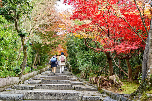 コロナ禍での秋旅トレンドは 人気の 国内行き先トップ１０ を発表 2020年9月23日 エキサイトニュース