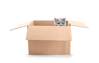 知らないと損をする英会話術４２： 一瞬でネイティブになれる“In”の使い方