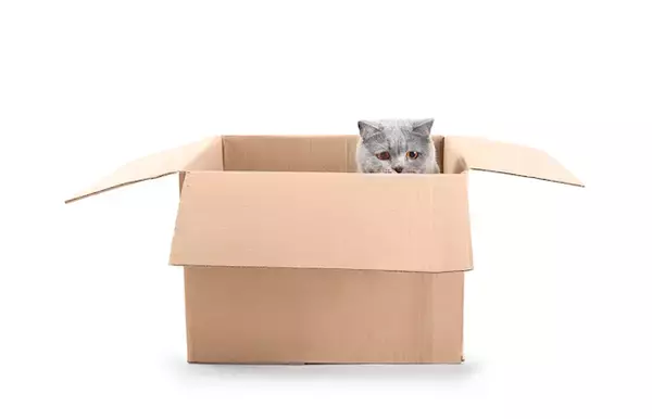 知らないと損をする英会話術４２： 一瞬でネイティブになれる“In”の使い方