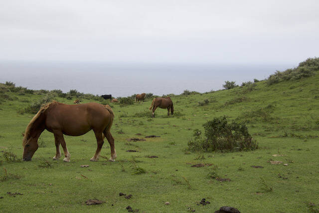 絶景 動物 歴史 島ごとの魅力がいっぱいの隠岐諸島 島根県 年10月13日 エキサイトニュース