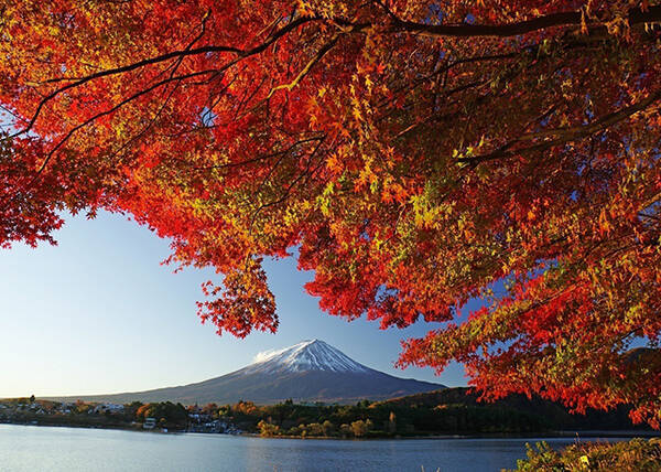 河口湖から臨む富士山と紅葉 第22回 富士河口湖紅葉まつり 開催 年11月5日 エキサイトニュース