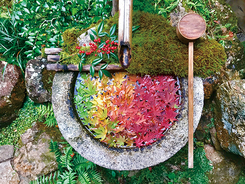 京都の紅葉をしっとり楽しむ「柳谷観音 紅葉ウィーク」