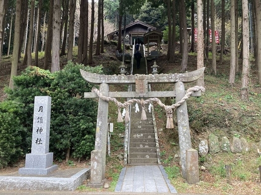 熊本県阿蘇のパワースポット 上色見熊野座神社 で幻想世界へ 19年3月15日 エキサイトニュース