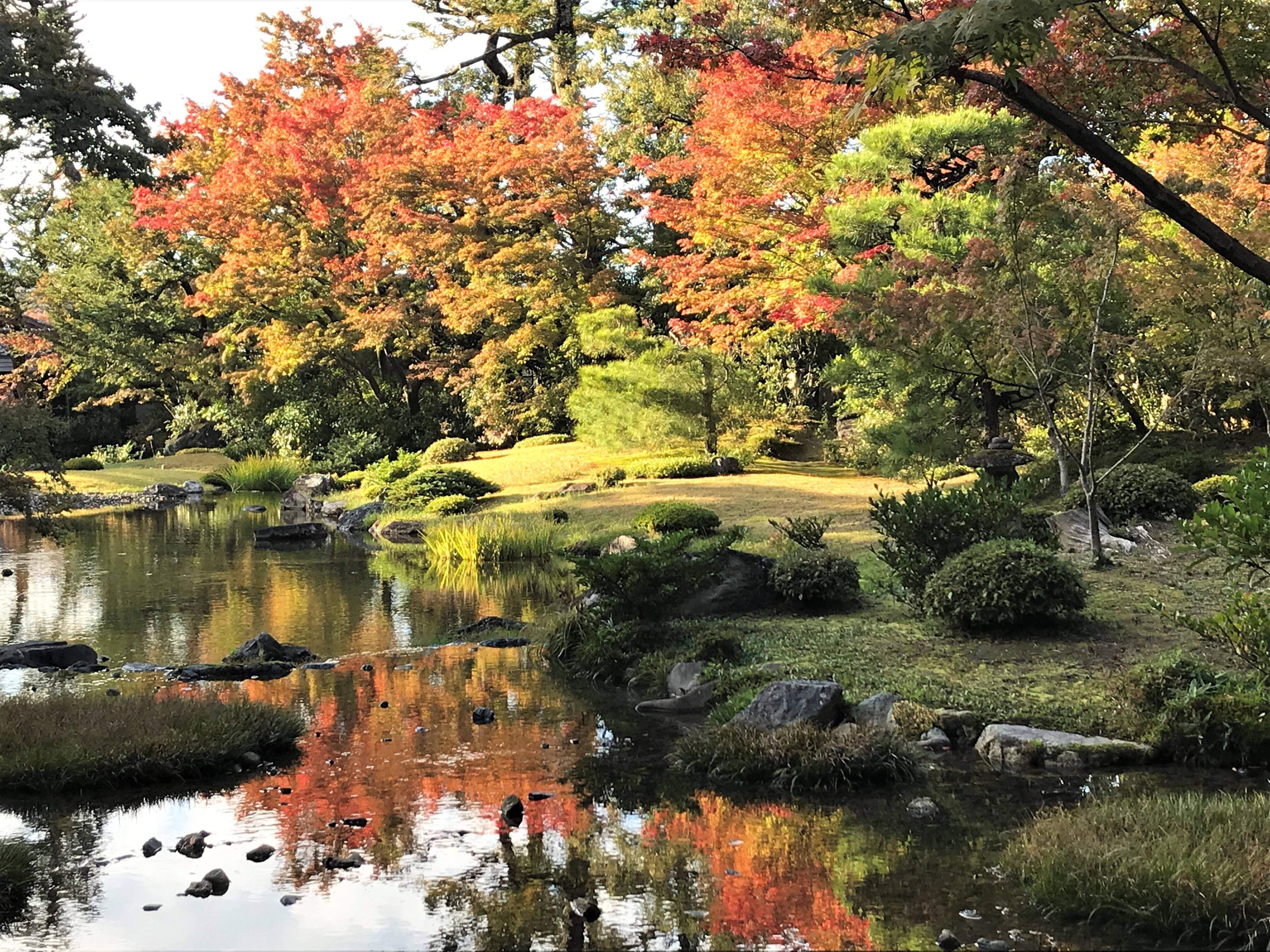 【京都】名勝庭園の紅葉を眺めながらカフェを楽しめる！「無鄰菴」で至福のひととき