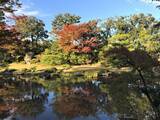「【京都】名勝庭園の紅葉を眺めながらカフェを楽しめる！「無鄰菴」で至福のひととき」の画像16