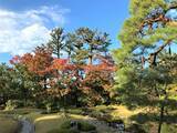 「【京都】名勝庭園の紅葉を眺めながらカフェを楽しめる！「無鄰菴」で至福のひととき」の画像17