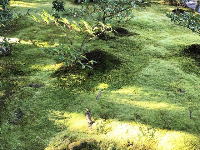 【京都】名勝庭園の紅葉を眺めながらカフェを楽しめる！「無鄰菴」で至福のひととき