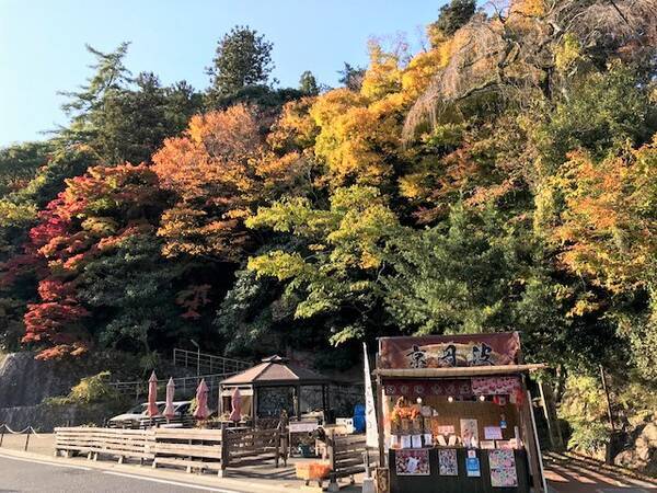 日帰り旅行にいかが 名湯 有馬温泉 で紅葉狩り ひる飲み アートを満喫 兵庫県 年11月16日 エキサイトニュース