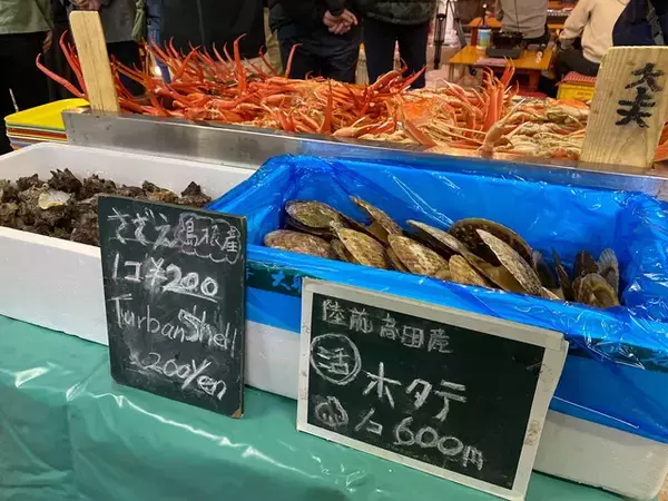 「期間限定！松江の冬の風物詩「かに小屋」でカニの食べ比べを楽しむ旅【島根県】」の画像