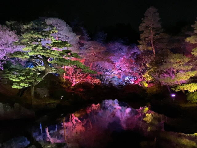期間限定！松江の冬の風物詩「かに小屋」でカニの食べ比べを楽しむ旅【島根県】