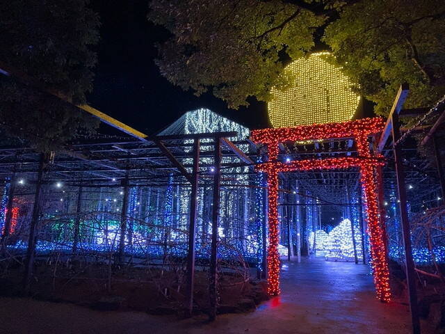 期間限定！松江の冬の風物詩「かに小屋」でカニの食べ比べを楽しむ旅【島根県】