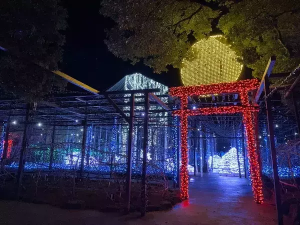 「期間限定！松江の冬の風物詩「かに小屋」でカニの食べ比べを楽しむ旅【島根県】」の画像